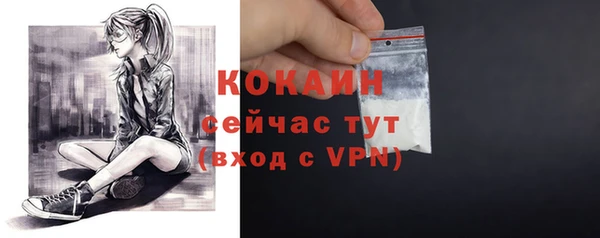 гашик Горнозаводск